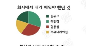 회사가 내게 가르쳐 준 것