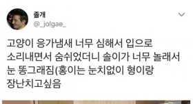 고양이 응가 냄새가 너무 심해서 입으로 숨을 쉬었더니