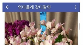 엄마 몰래 화분 팔려고 하는데요