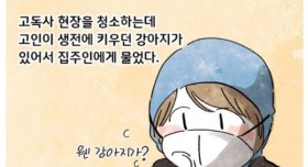 고독사 현장에 남겨진 반려견