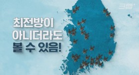 몽골에서 3000km 날아온 아기 독수리들