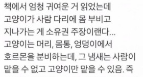 냥이의 소유권 주장