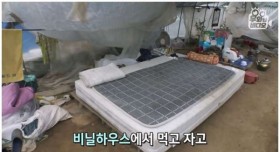 집 놔두고 12년 동안 비닐하우스에서 산 여인