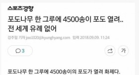 약한 포도는 살아남을 수 없는 농장