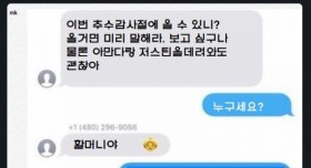 문자 잘못 보내서 손자 생김