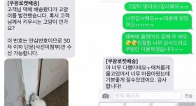 앞으로 쿠팡만 이용하겠다는 고객